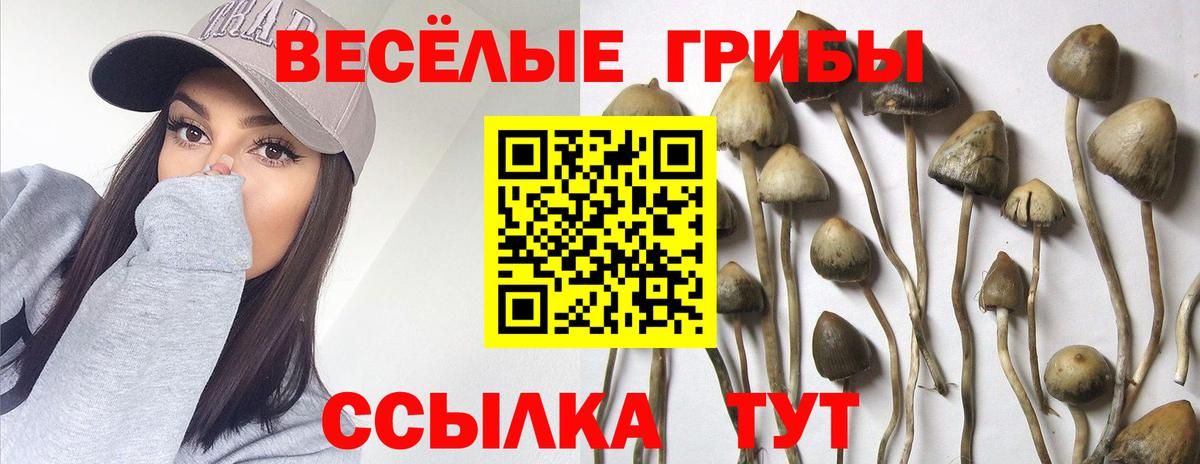 Галлюциногенные грибы мухоморы  Вход с VPN  Галлюциногенные грибы Psilocybine cubensis  Ижевск 
